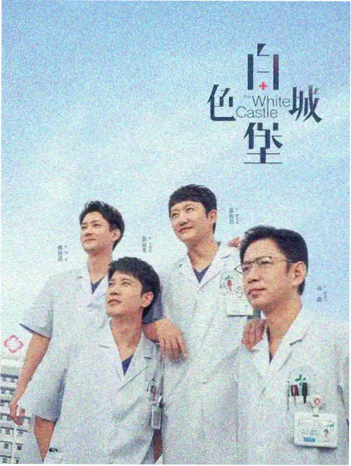 双面证人 电视剧在线播放